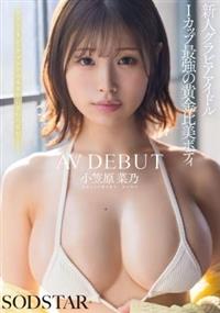 Ｉカップ最強の黄金比美ボディ　新人グラビアアイドル　ＡＶ　ＤＥＢＵＴ　小笠原菜乃