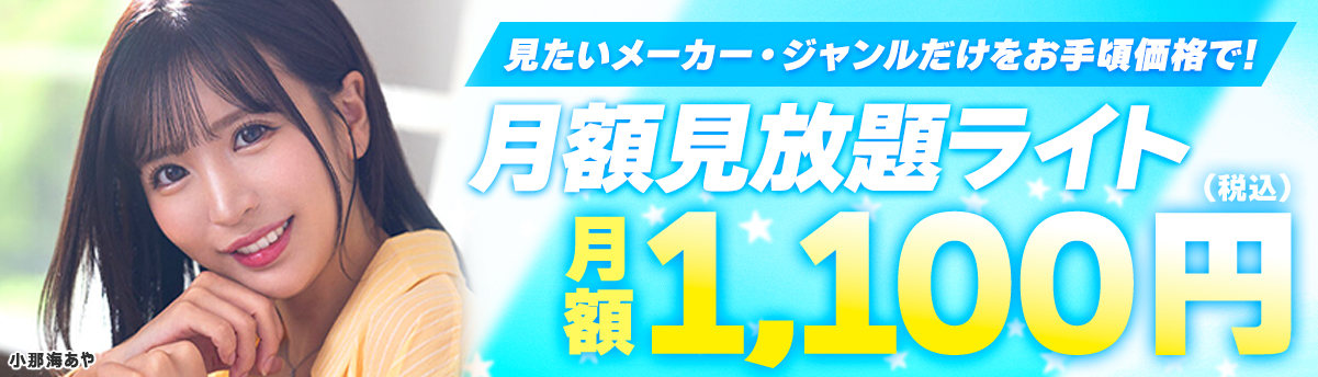ライトプラン